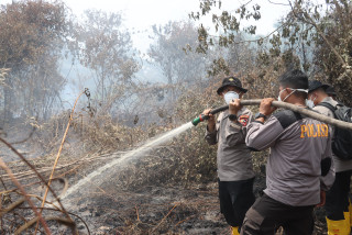 Penanganan Karhutla, Siswa Sespimmen Polri Periksa Lahan Bekas Terbakar di Dumai